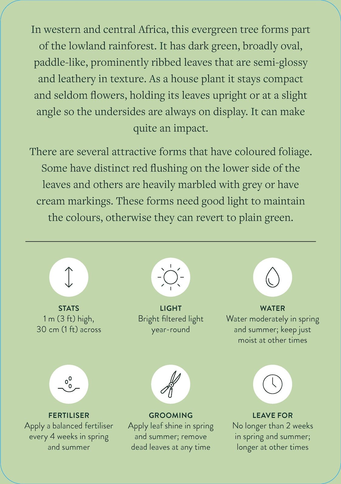 Pocket Plantcare | The Plant Boys