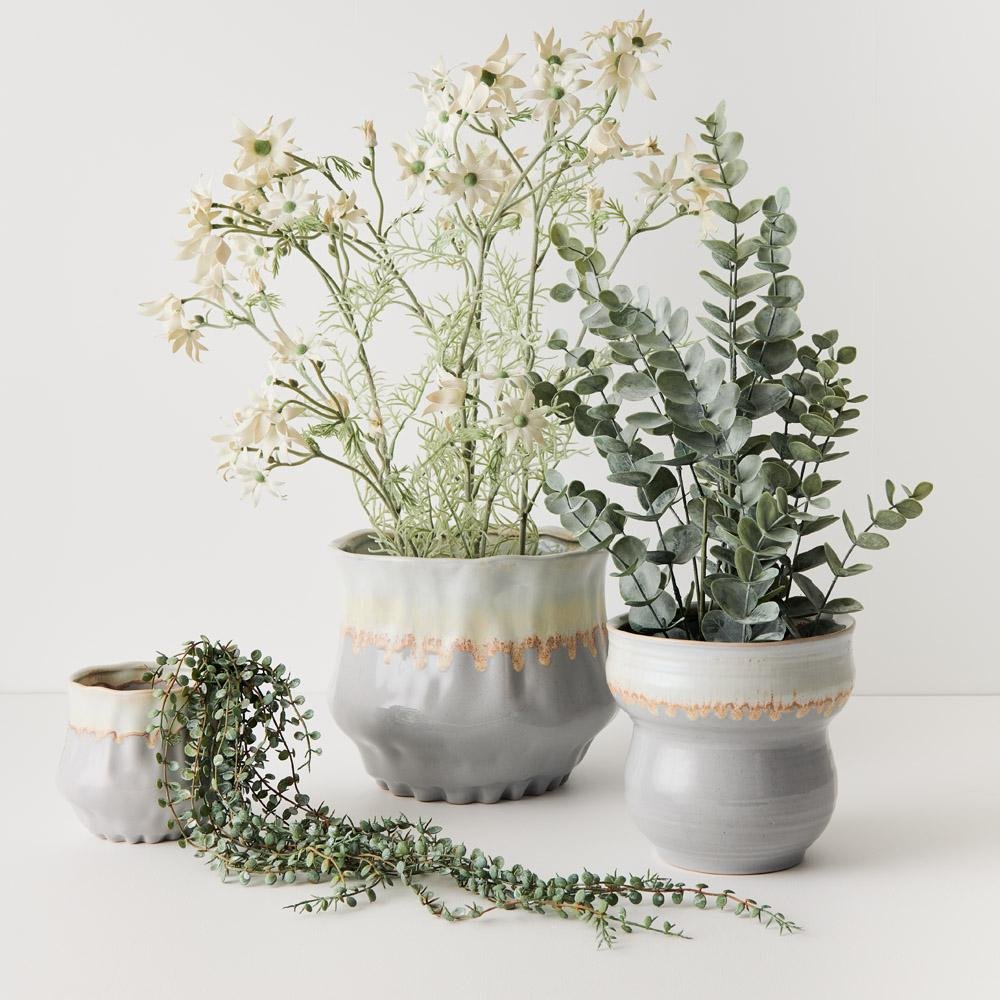 Jesse Pot | The Plant Boys