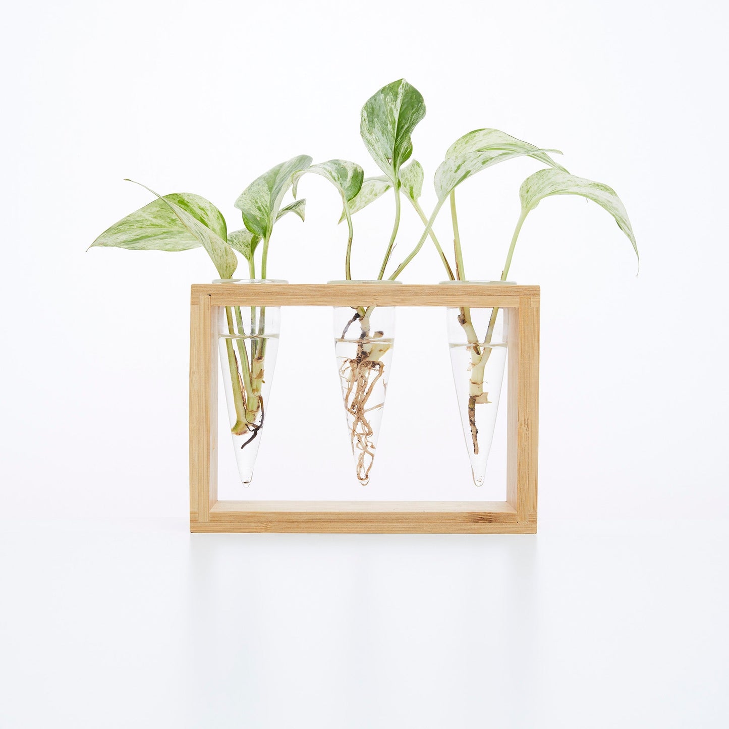 Proppi 3 Propagation Station | The Plant Boys