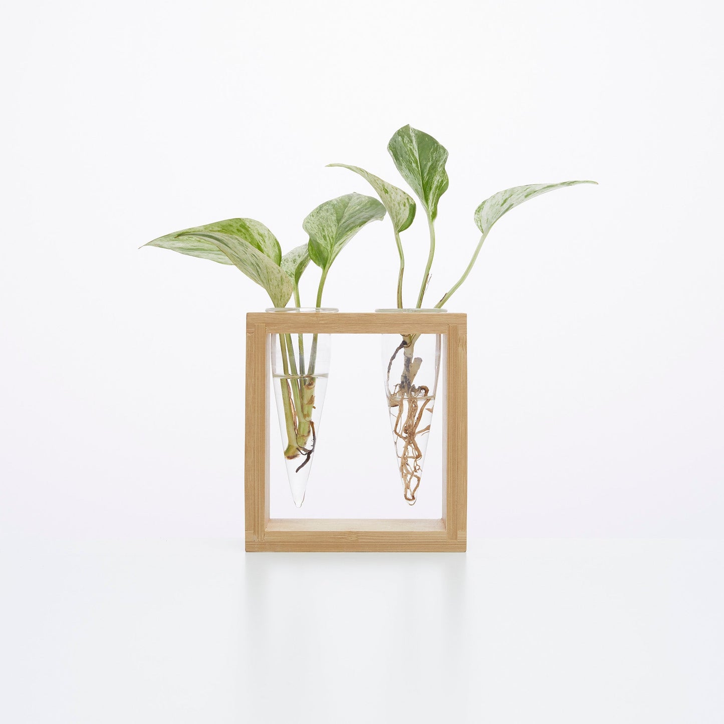 Proppi 2 Propagation Station | The Plant Boys