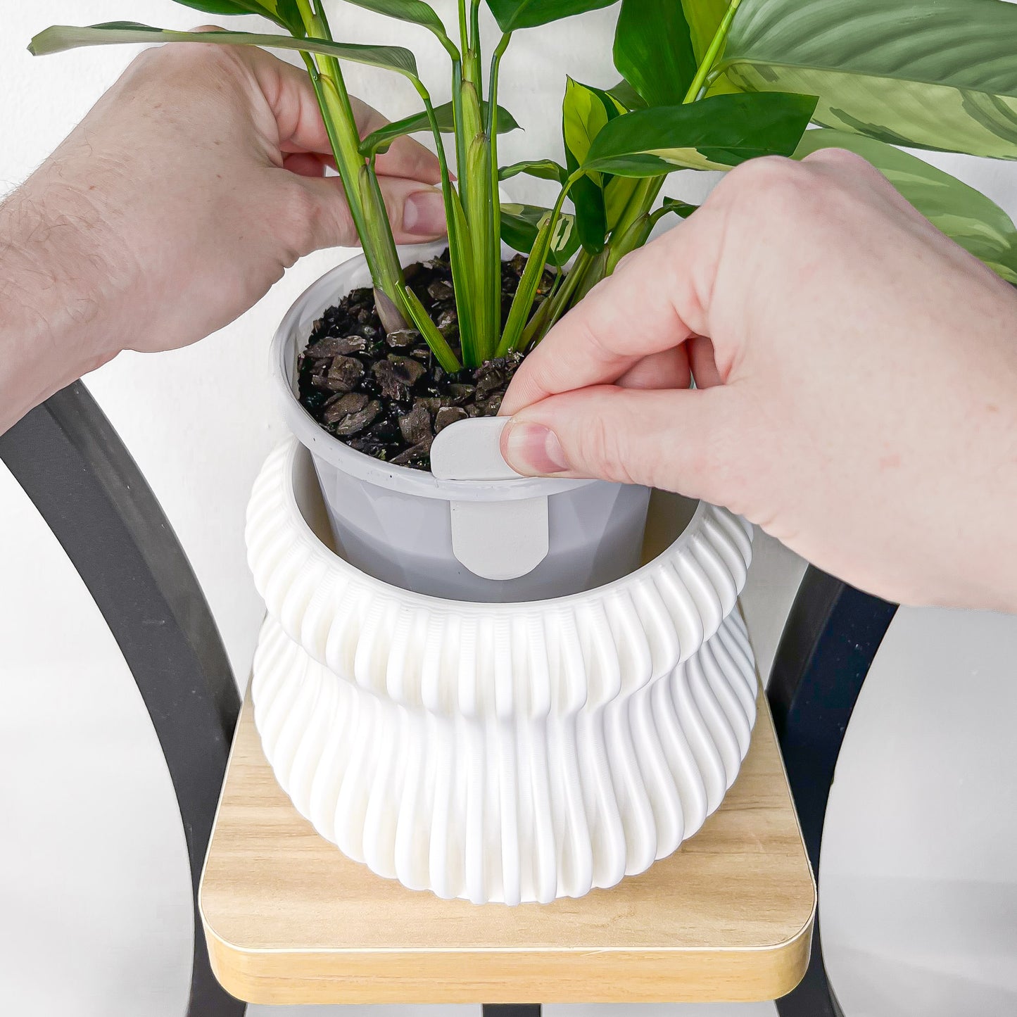 Selene Planter | The Plant Boys