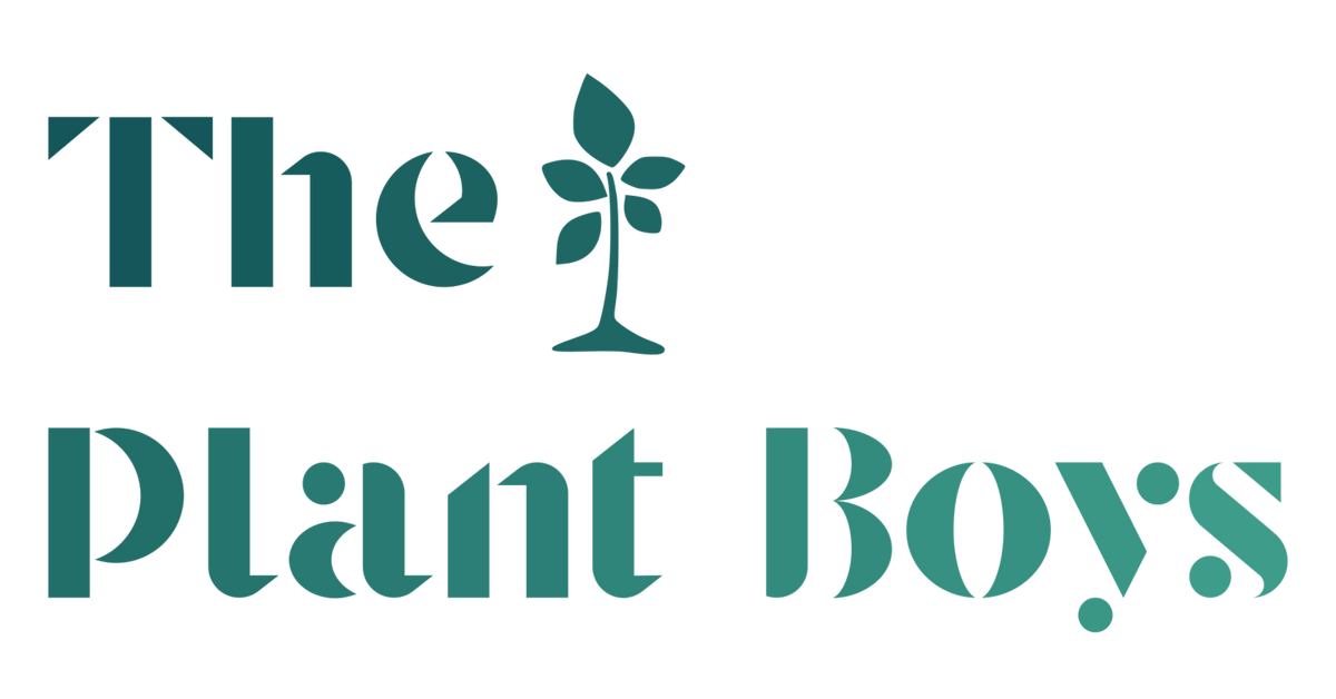 Pet Friendly Plants Page 11 The Plant Boys