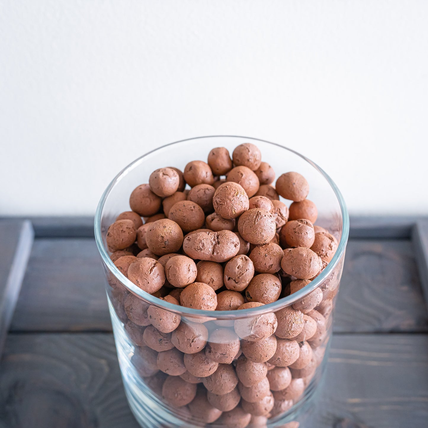 LECA Clay Balls | The Plant Boys