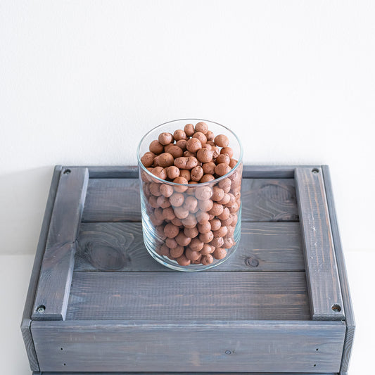 LECA Clay Balls | The Plant Boys
