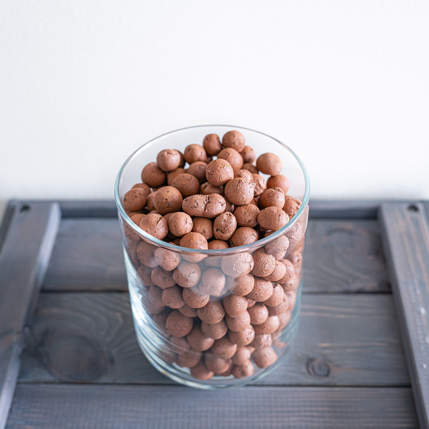 LECA Clay Balls | The Plant Boys