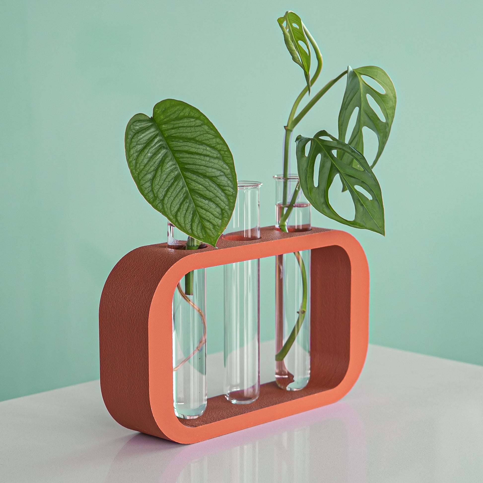 PlantPod Trio | The Plant Boys