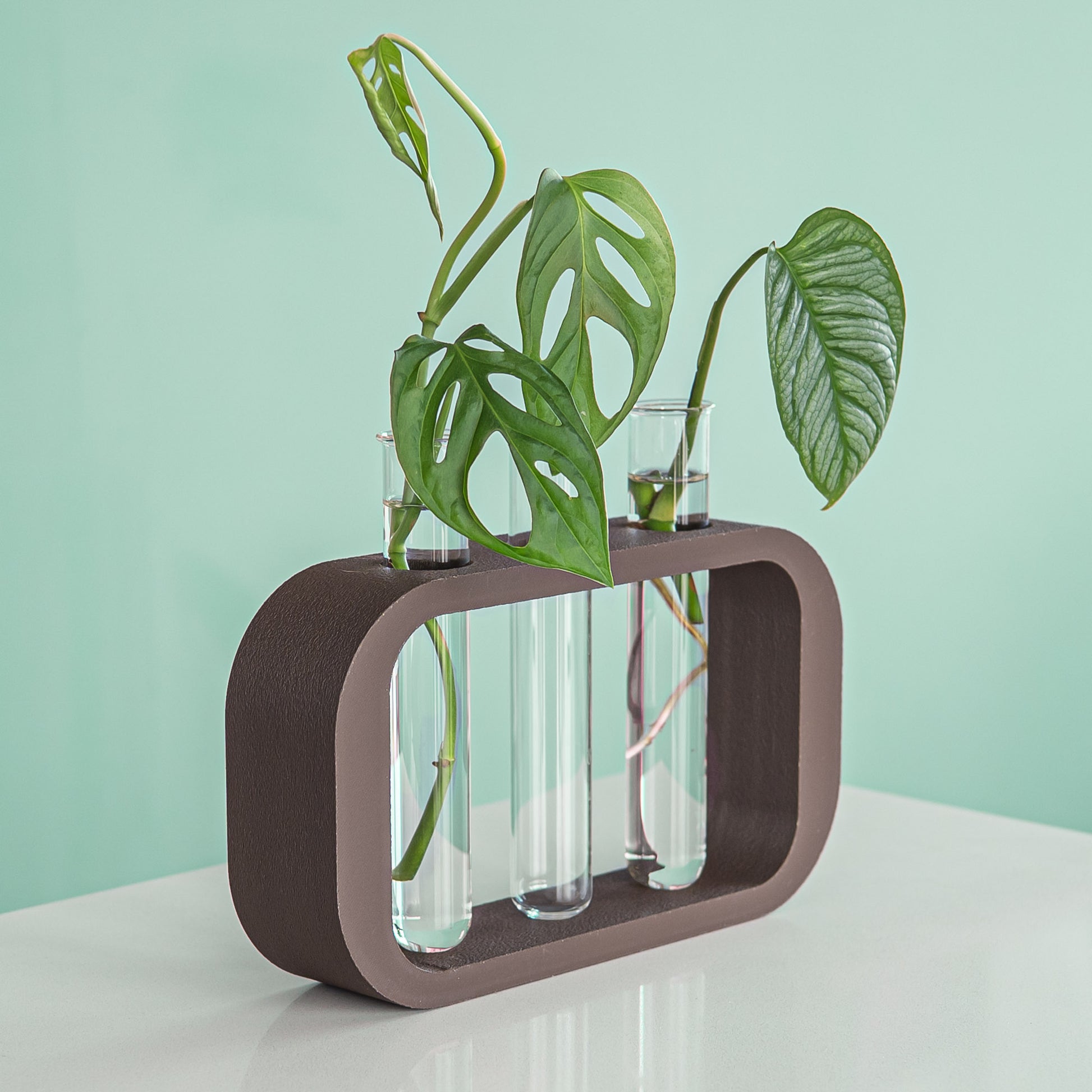 PlantPod Trio | The Plant Boys