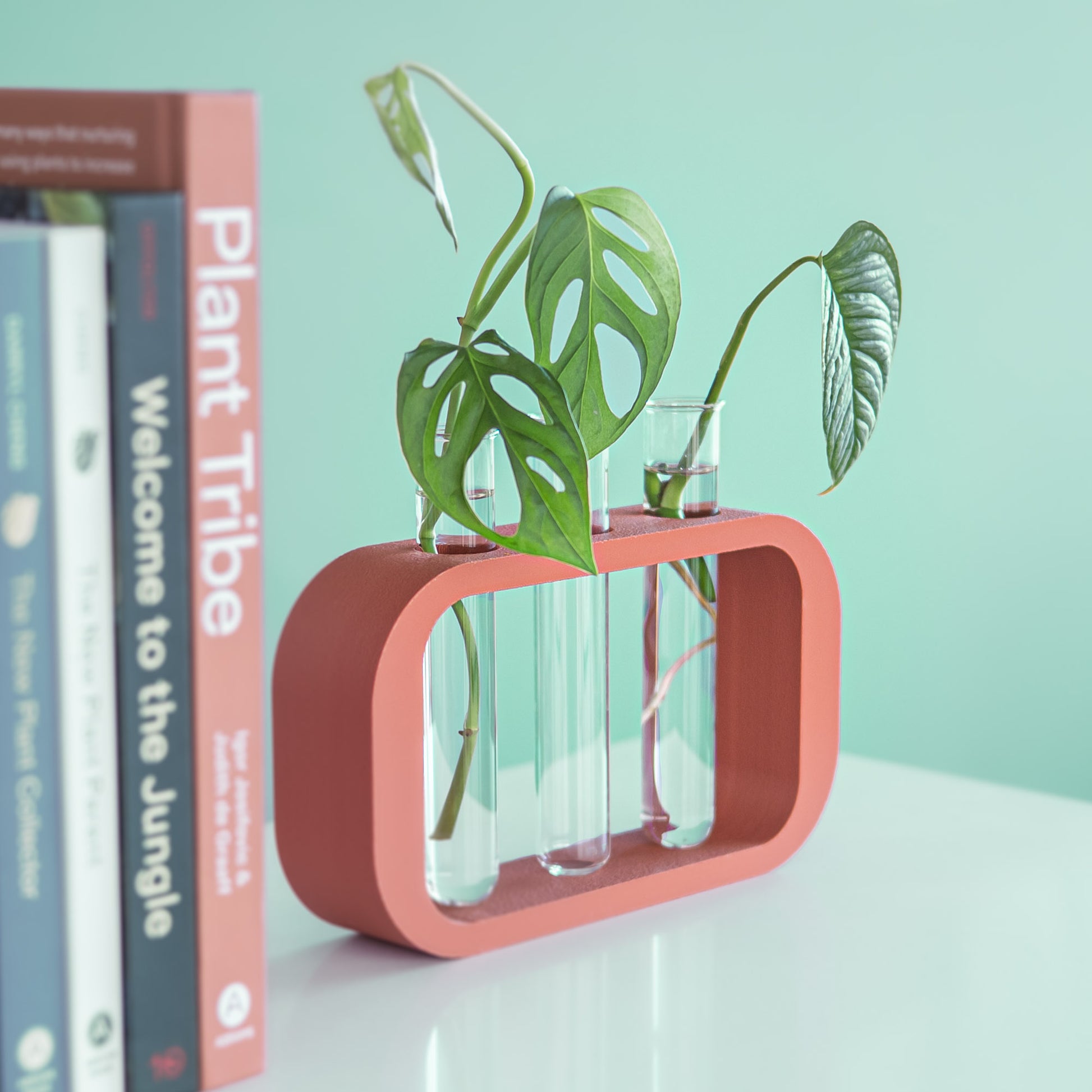 PlantPod Trio | The Plant Boys