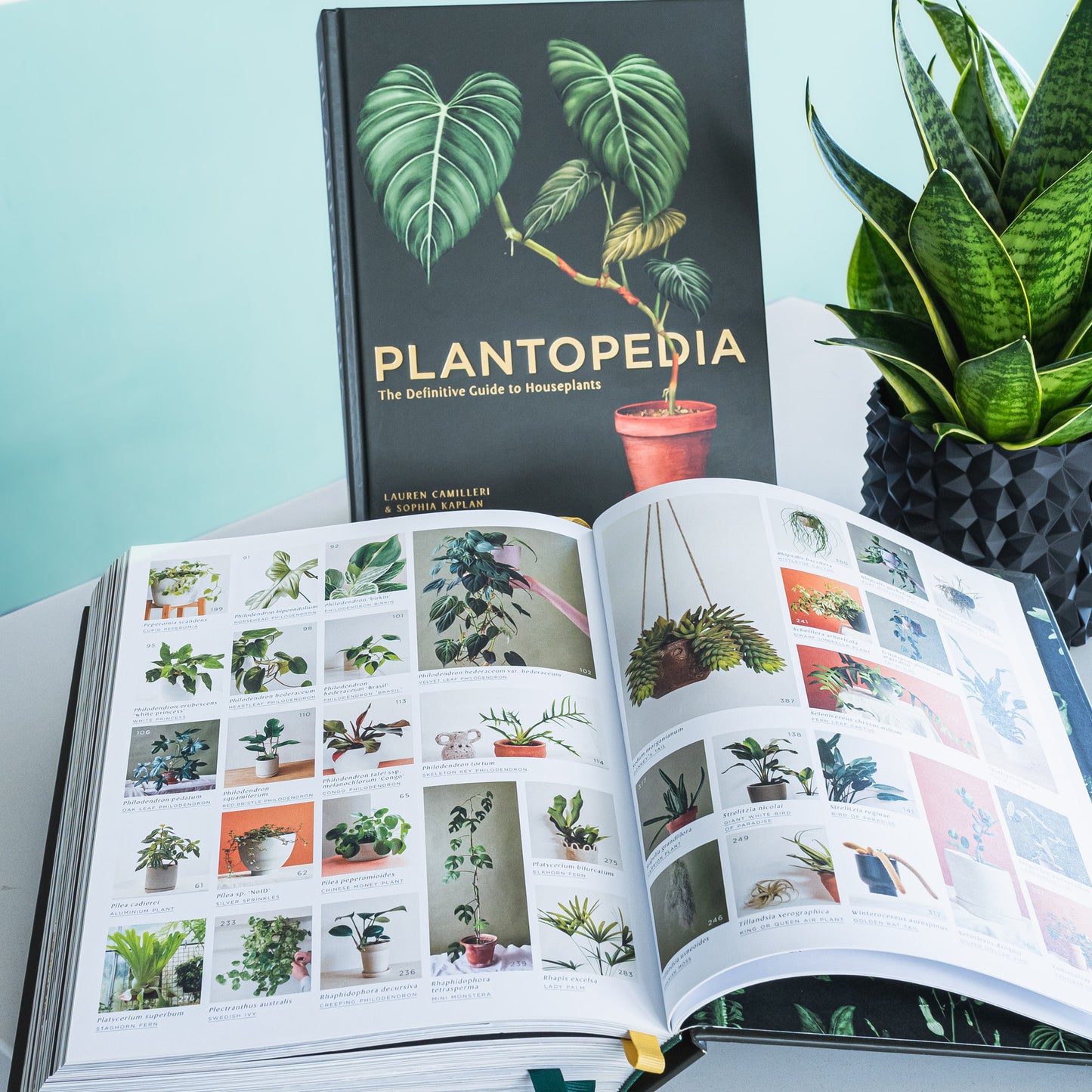 Plantopedia | The Plant Boys