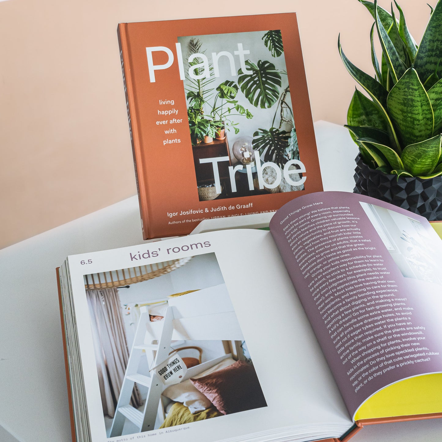 Plant Tribe | The Plant Boys