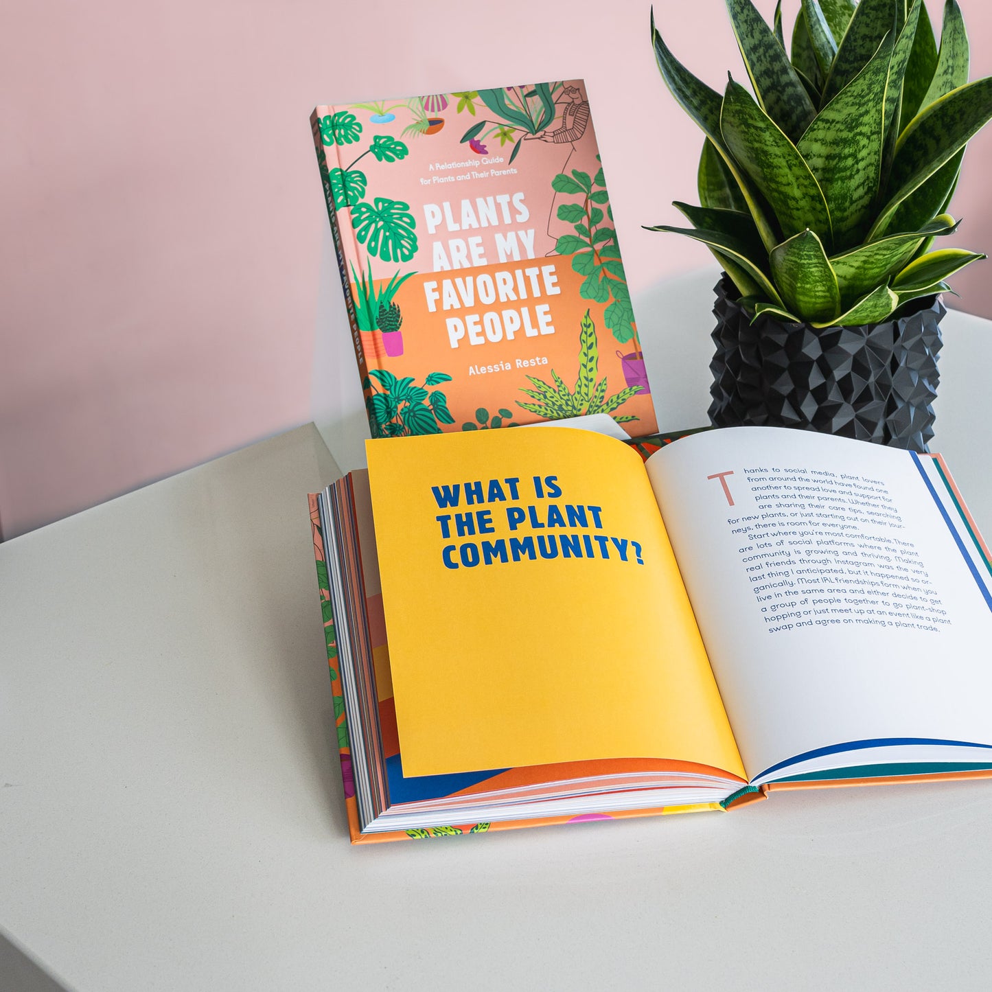 Plants Are My Favorite People | The Plant Boys