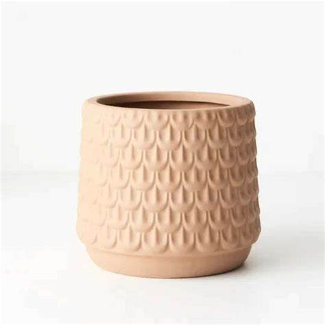 Isobel Pot | The Plant Boys