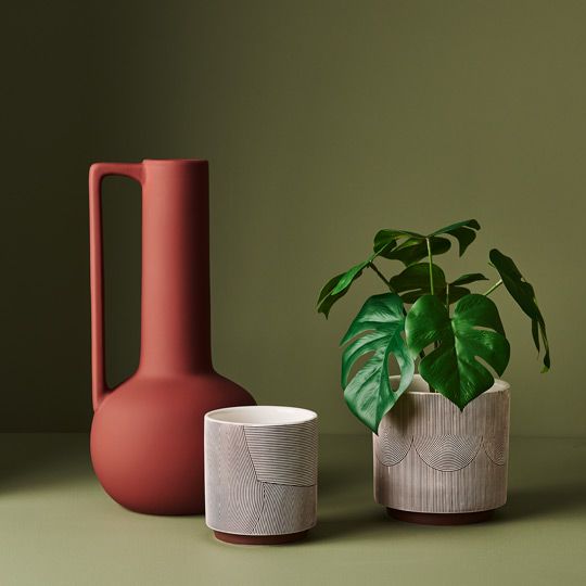 Galetta Pot | The Plant Boys