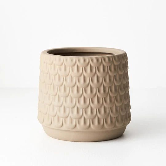 Isobel Pot | The Plant Boys