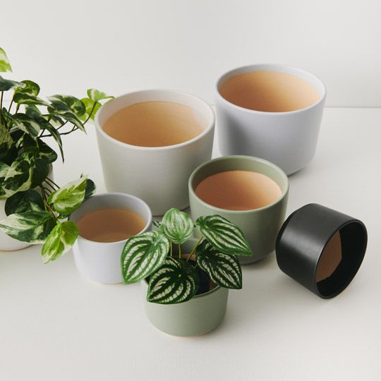 Billi Pot | The Plant Boys