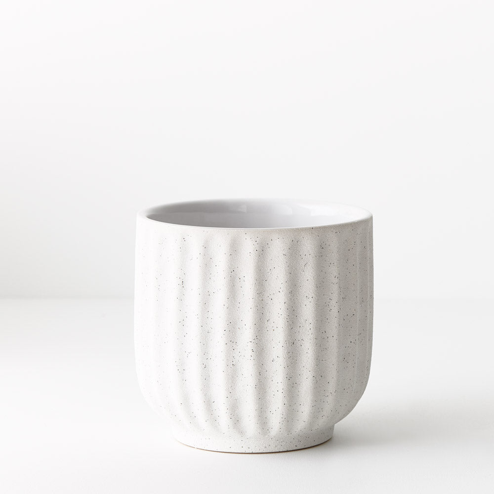 Pilu Pot | The Plant Boys