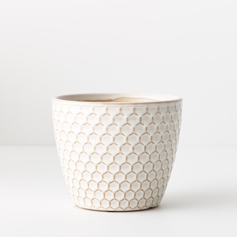 Hunee Pot | The Plant Boys