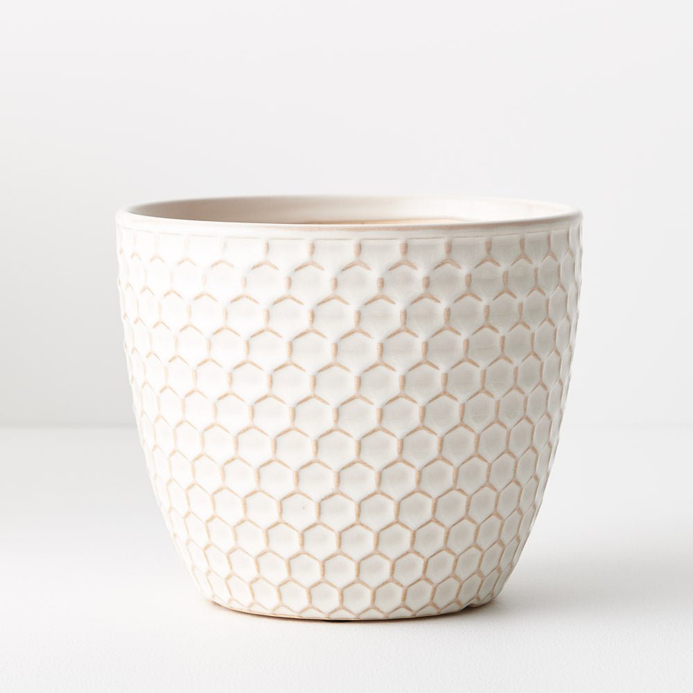 Hunee Pot | The Plant Boys