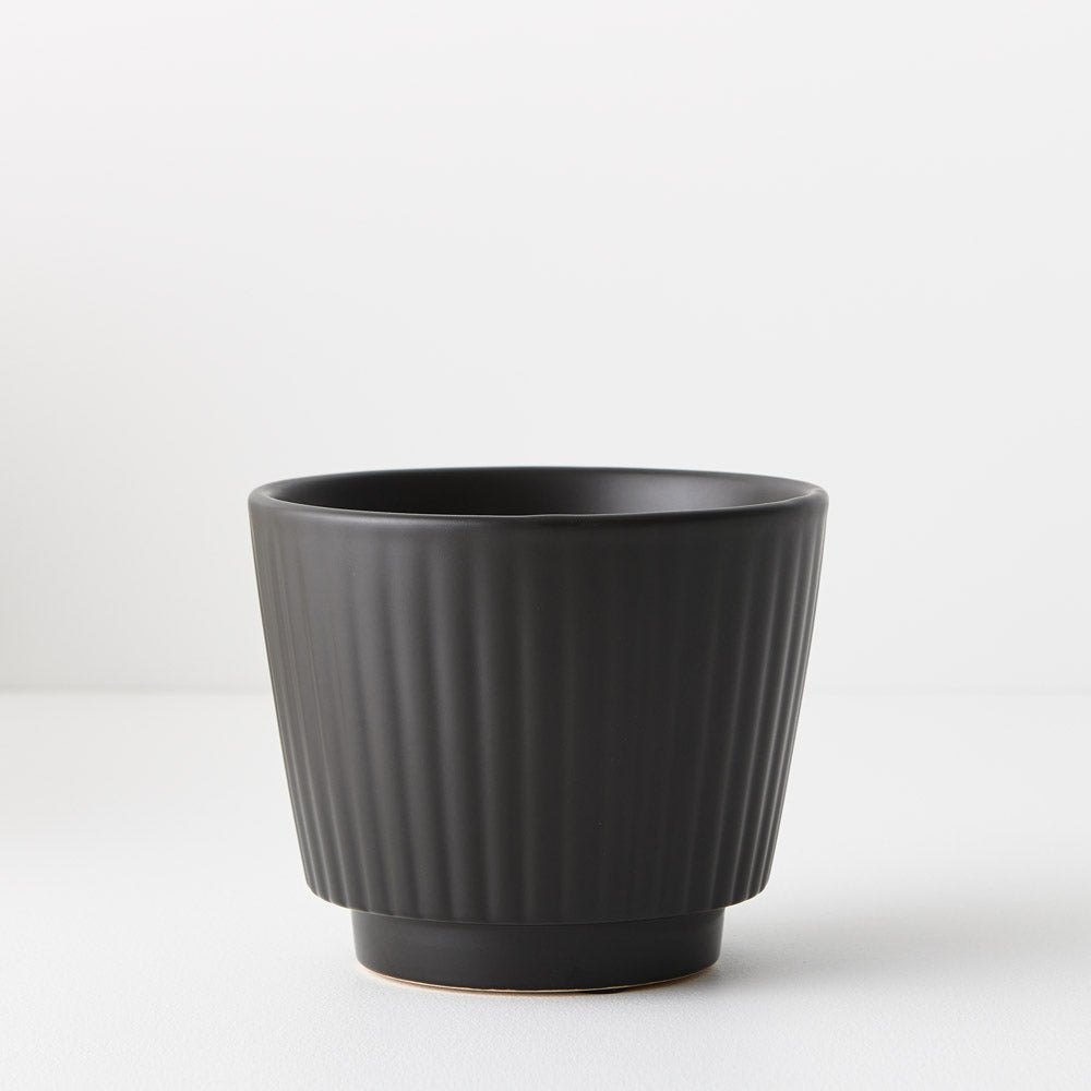 Tuno Pot | The Plant Boys
