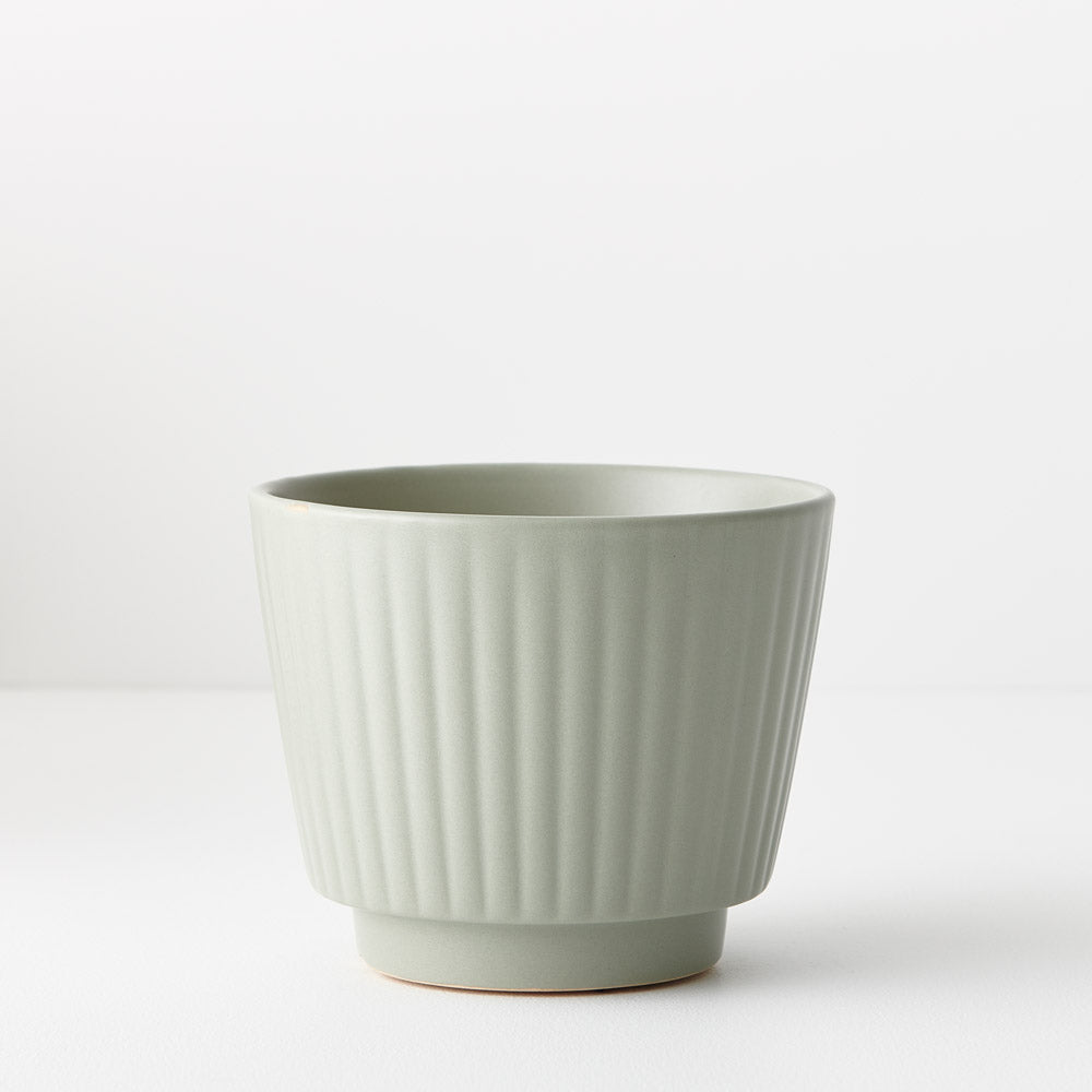 Tuno Pot | The Plant Boys