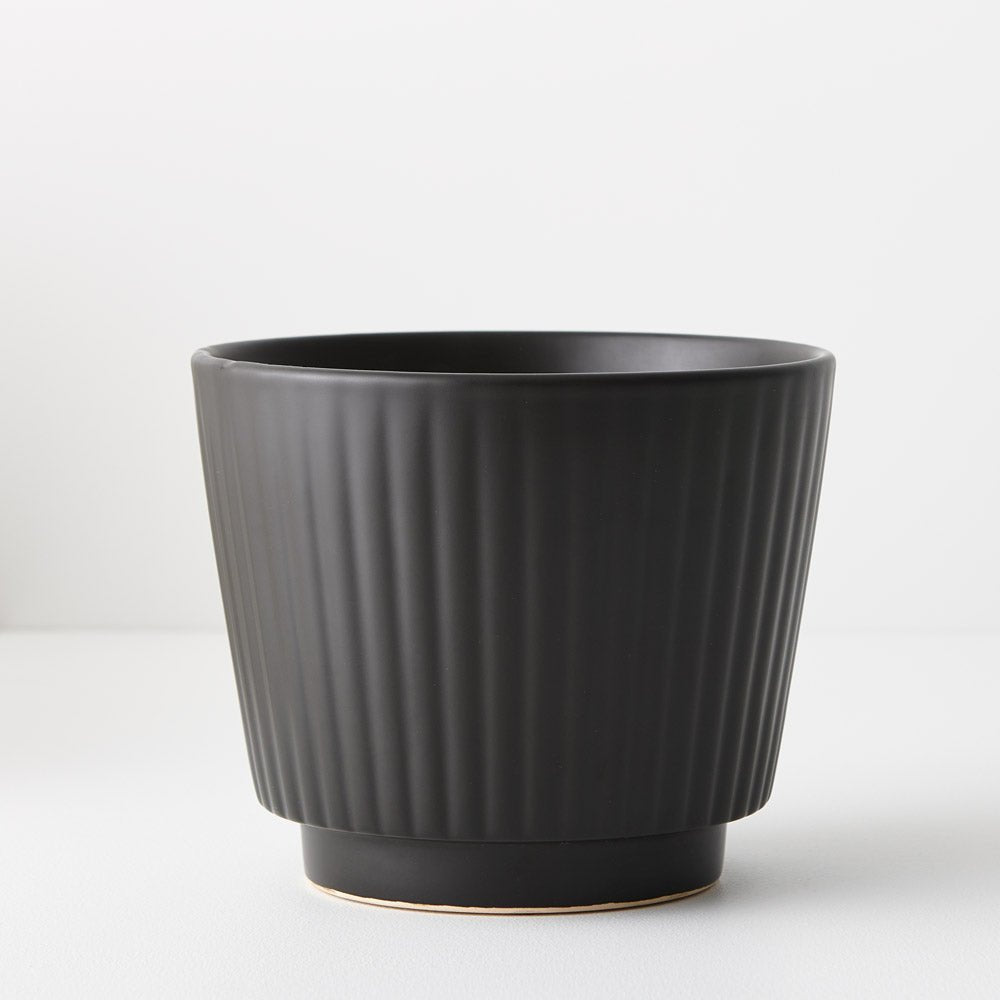 Tuno Pot | The Plant Boys