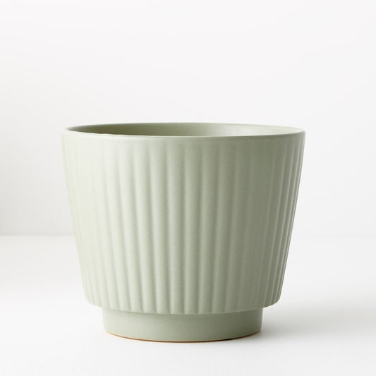 Tuno Pot | The Plant Boys