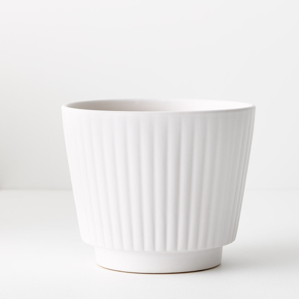 Tuno Pot | The Plant Boys