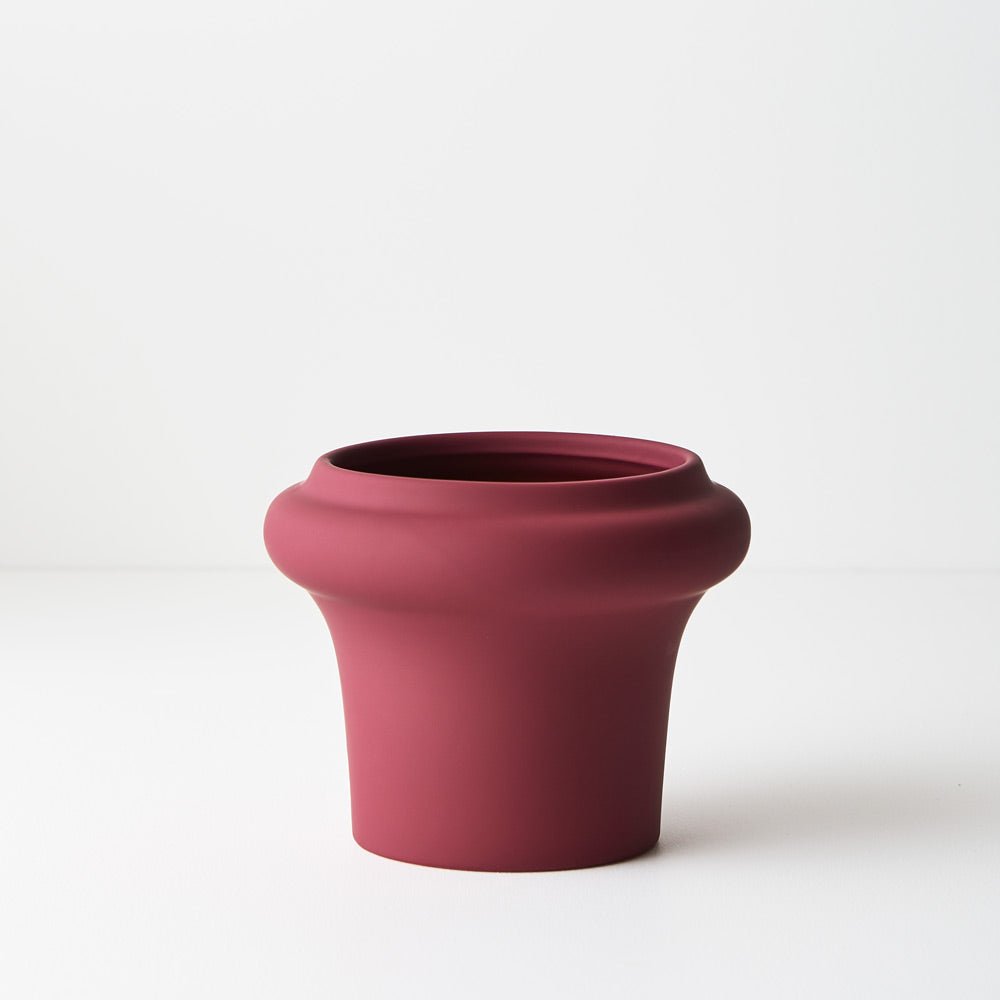 Lucena Pot | The Plant Boys