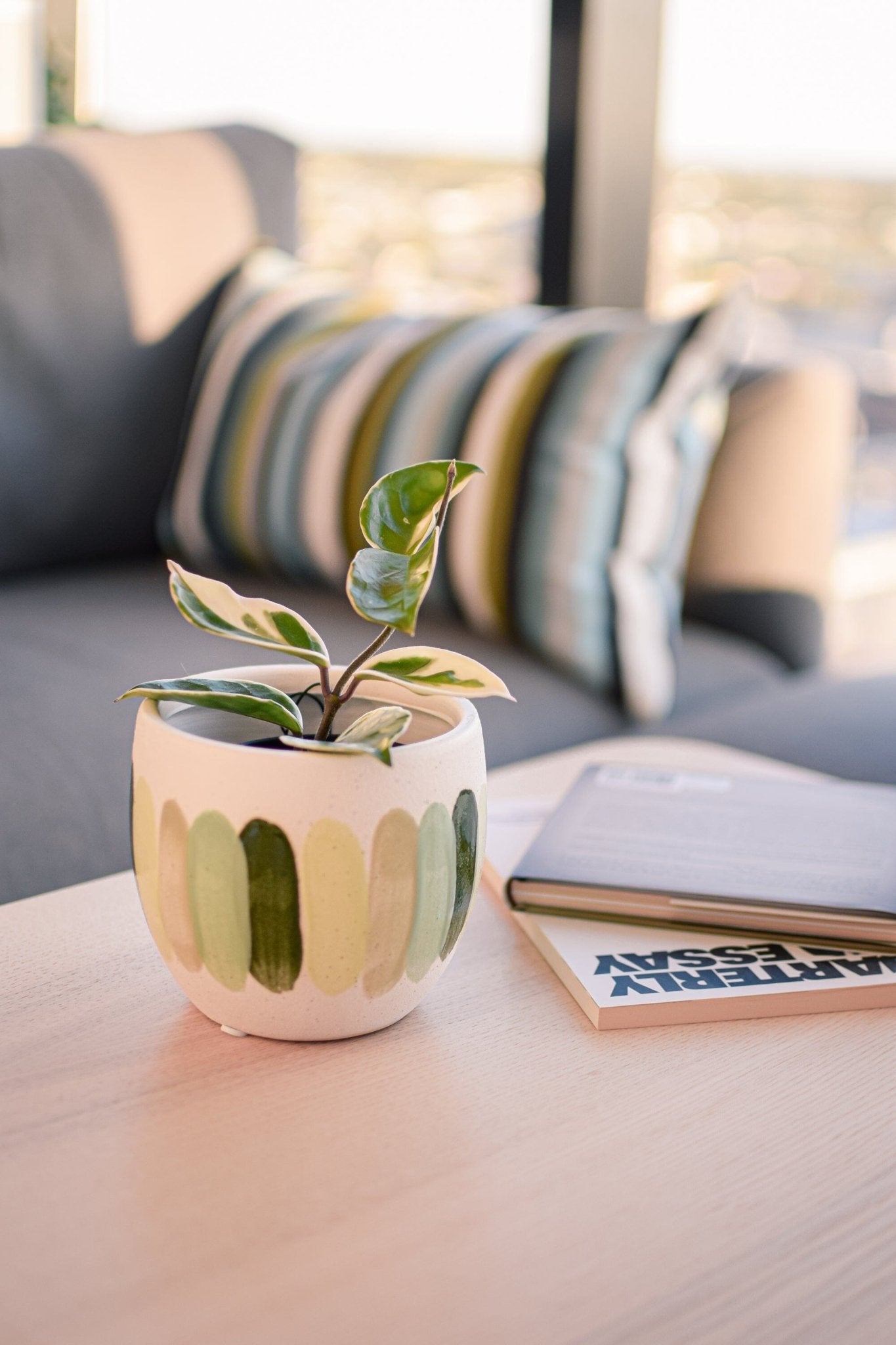 Inessa Pot | The Plant Boys