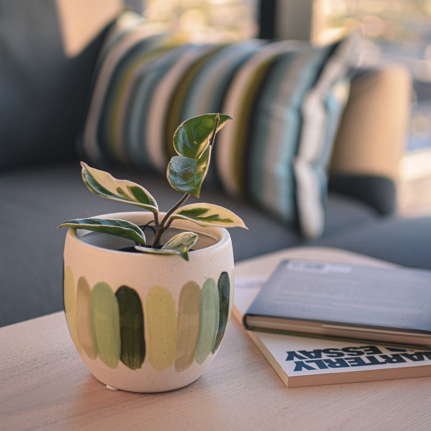 Inessa Pot | The Plant Boys