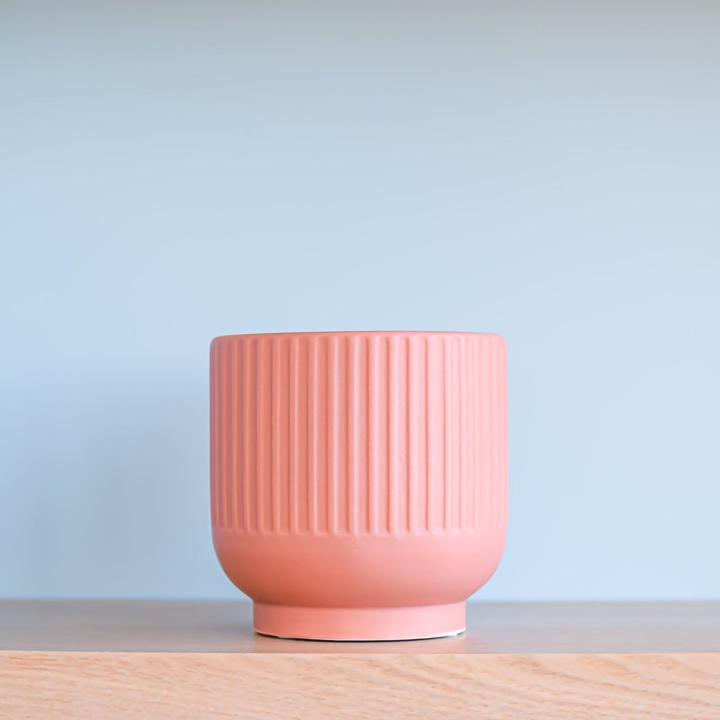Stella Pot | The Plant Boys
