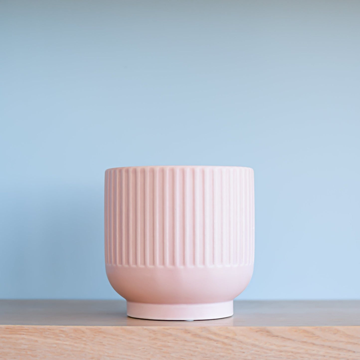 Stella Pot | The Plant Boys