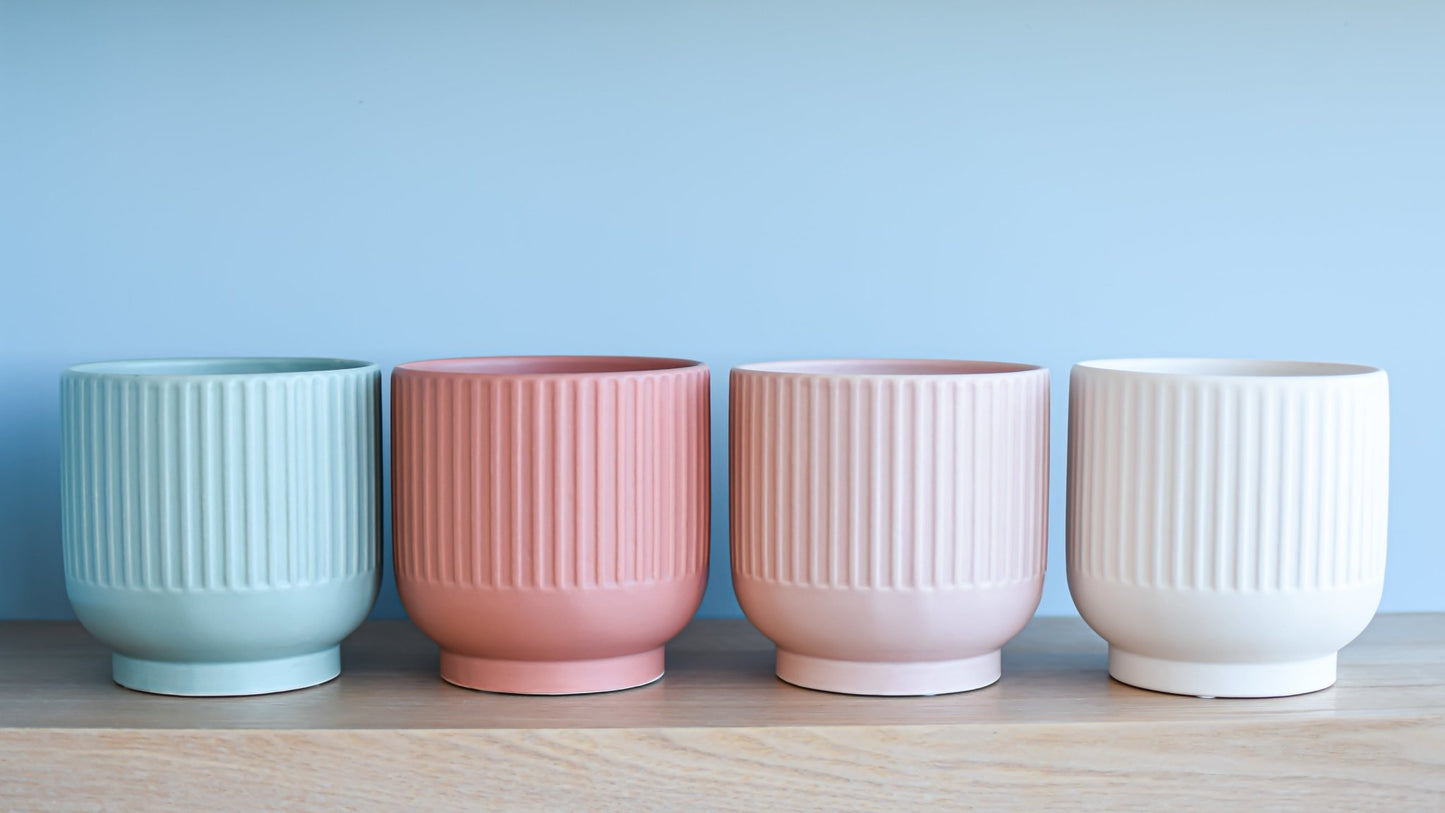 Stella Pot | The Plant Boys