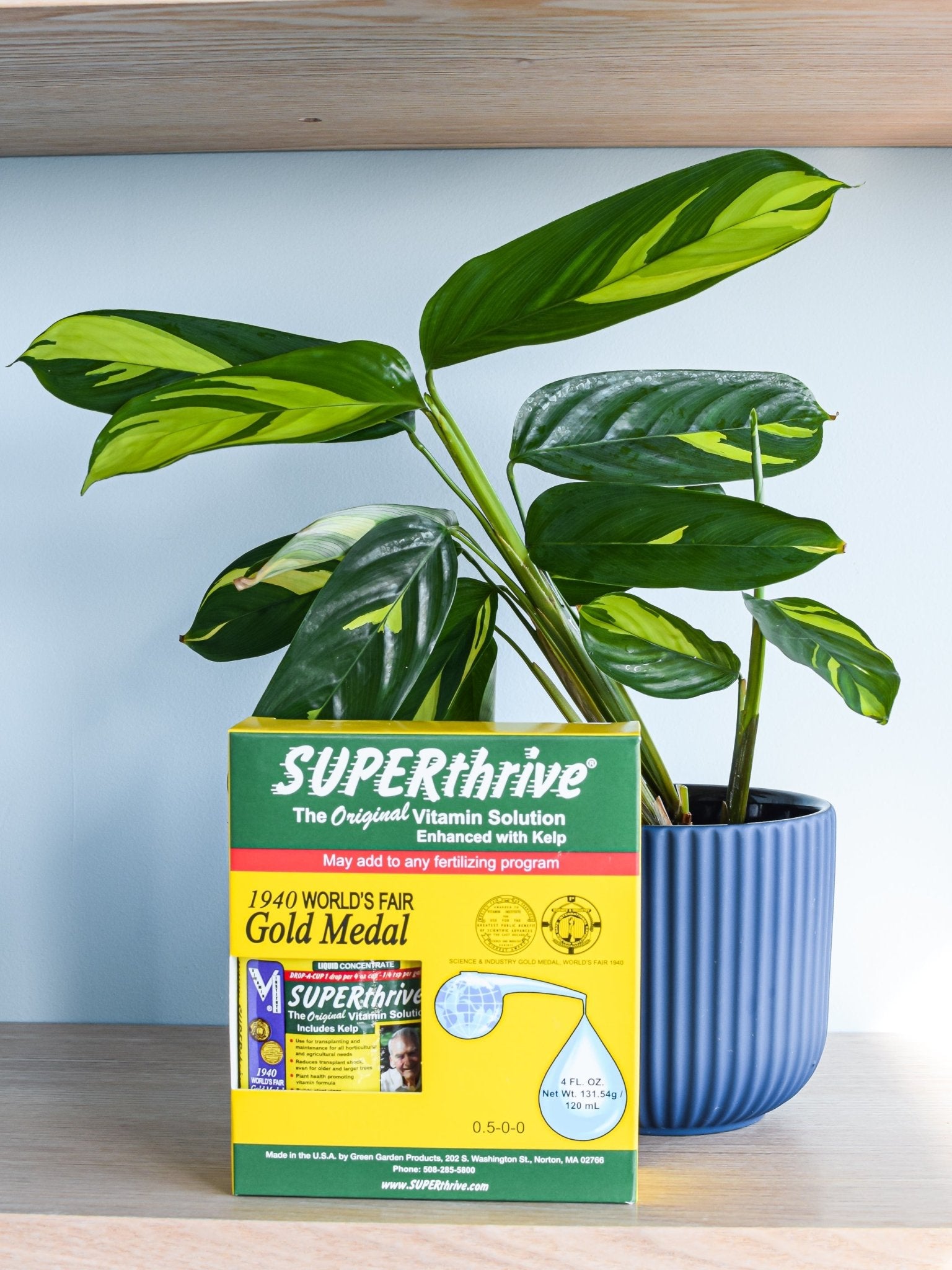 Superthrive Vitamin Solution | The Plant Boys