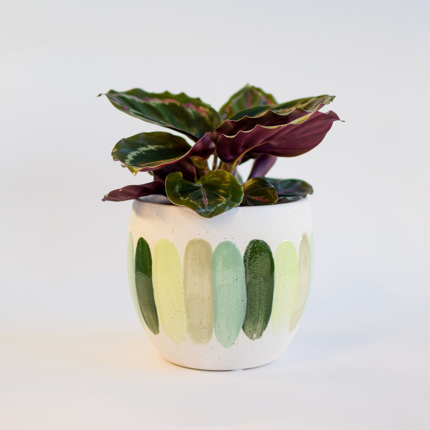 Inessa Pot | The Plant Boys