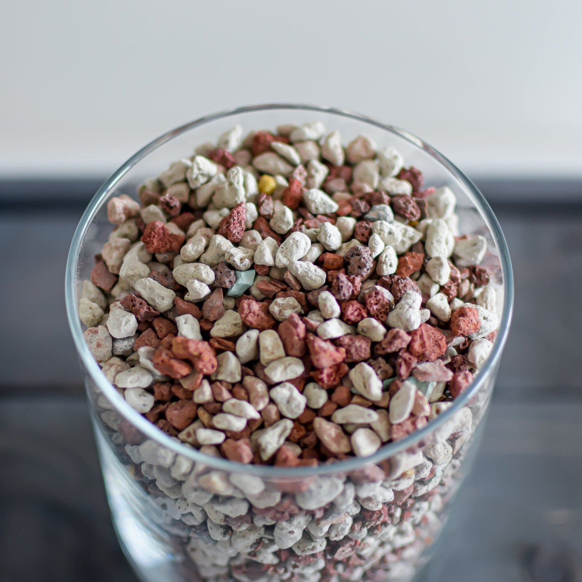 Pontastic: Alternative to Soil - Semi-Hydroponic Mineral Substrate | The Plant Boys