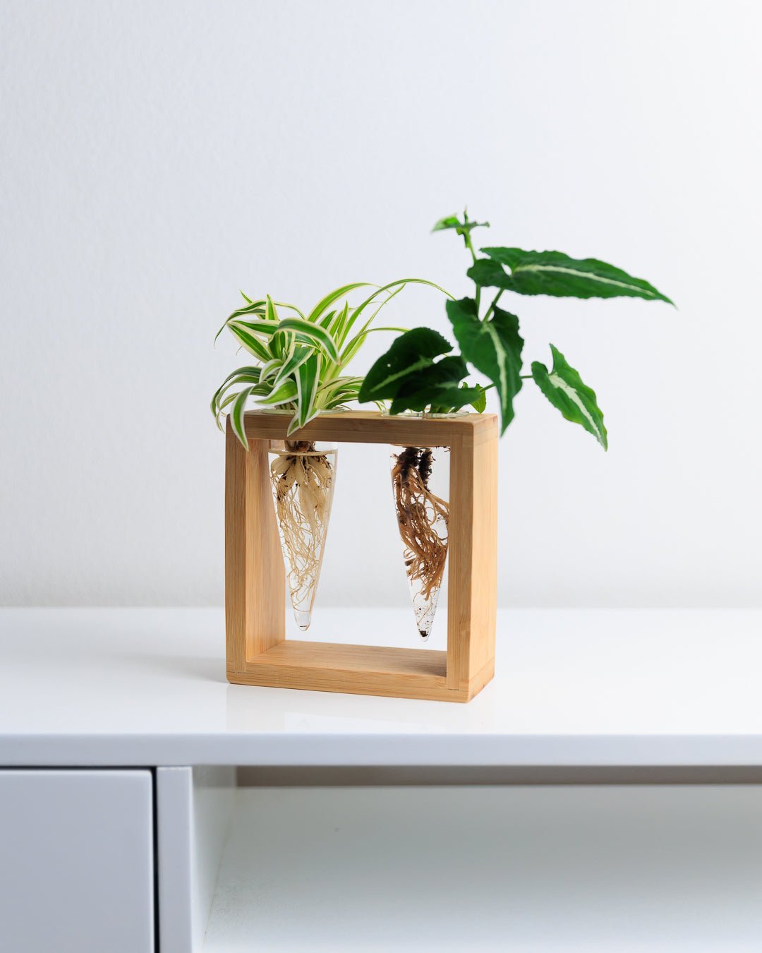 Proppi 2 Propagation Station | The Plant Boys