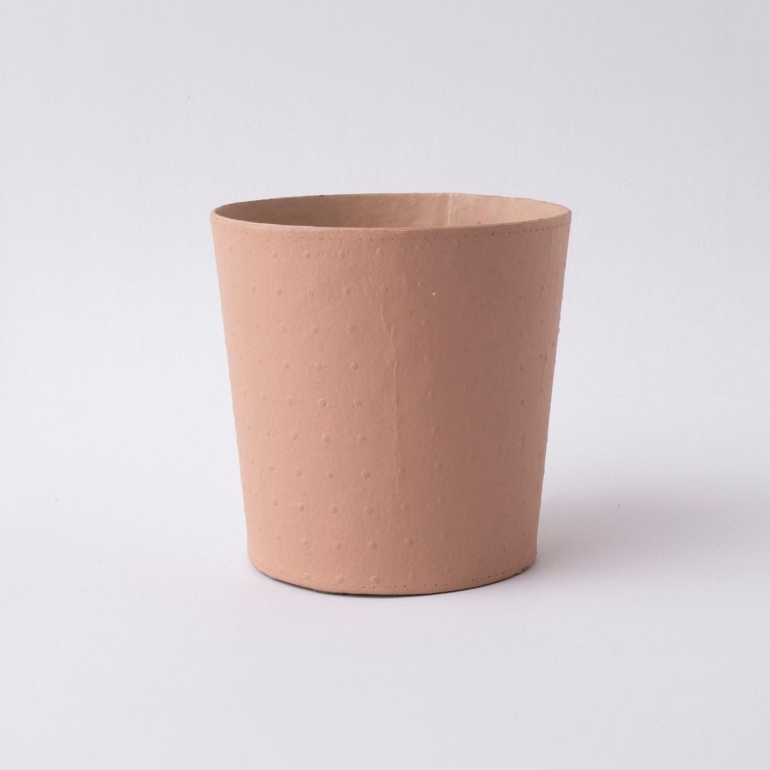 Dotty Pot | The Plant Boys