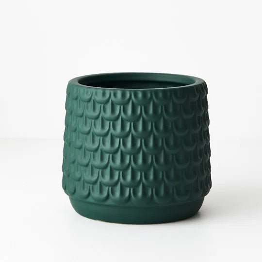 Isobel Pot | The Plant Boys