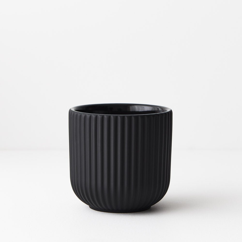 Annix Pot | The Plant Boys
