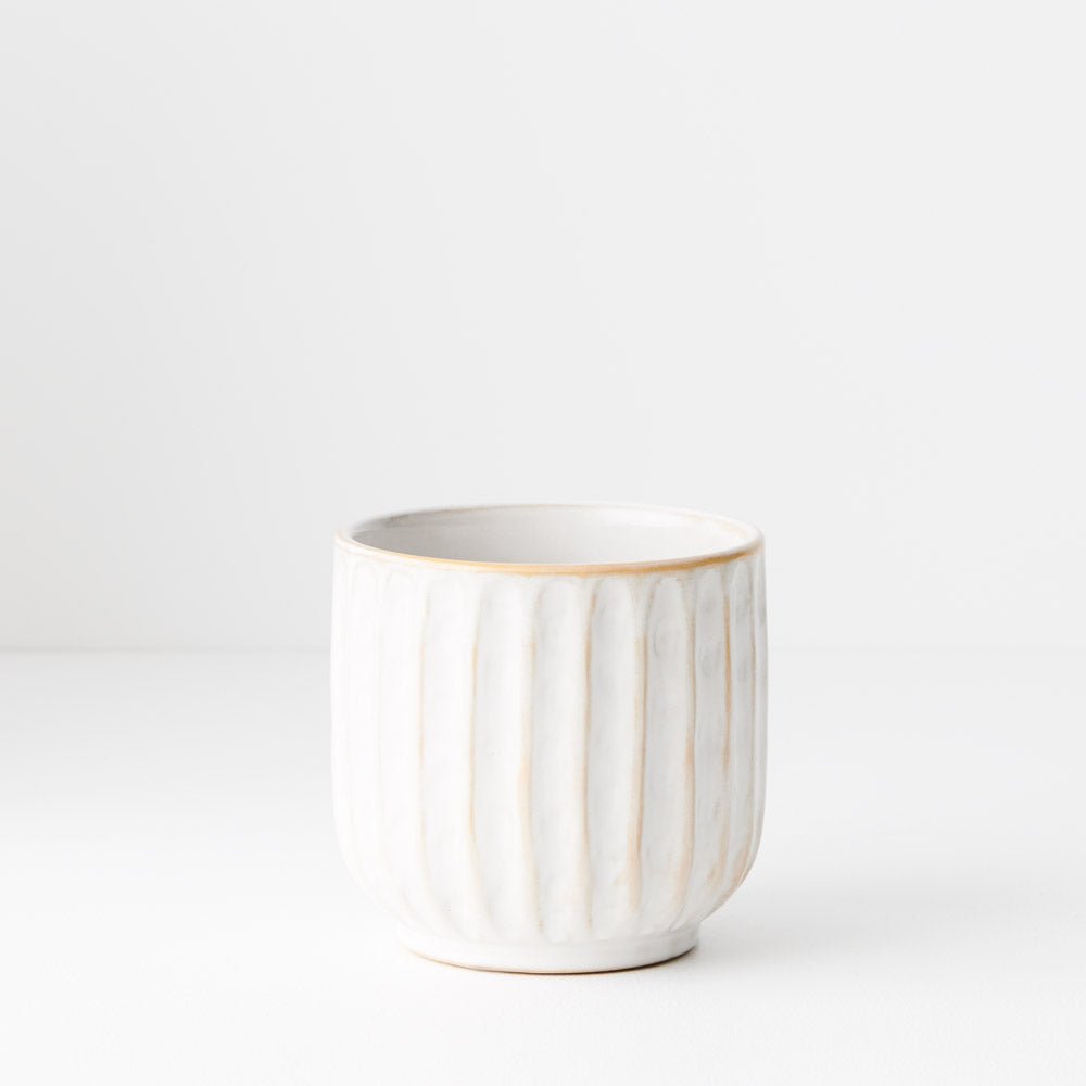 Clovelly Pot | The Plant Boys