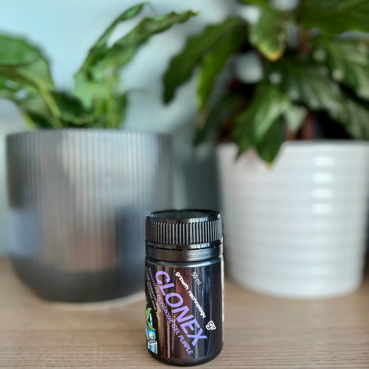 Clonex Purple Gel | The Plant Boys