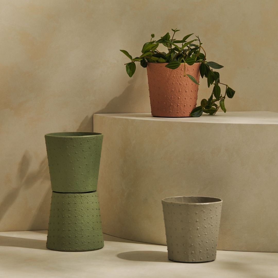 Dotty Pot | The Plant Boys