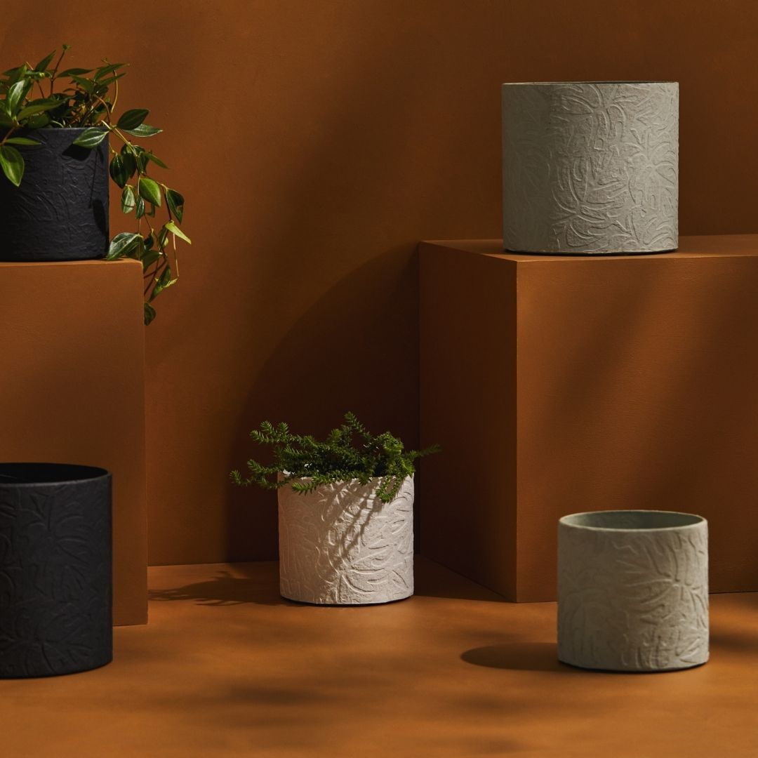 Monstera Pot | The Plant Boys