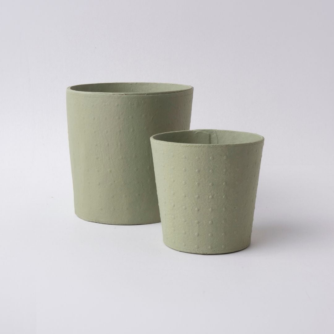 Dotty Pot | The Plant Boys