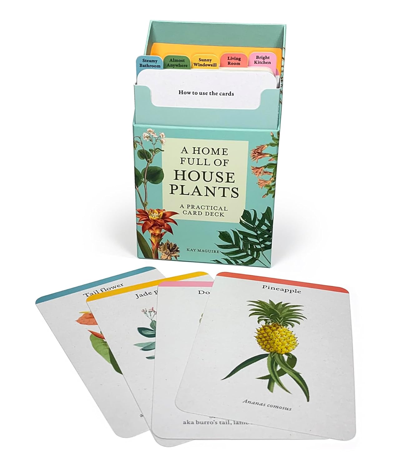 A Home Full of House Plants | The Plant Boys