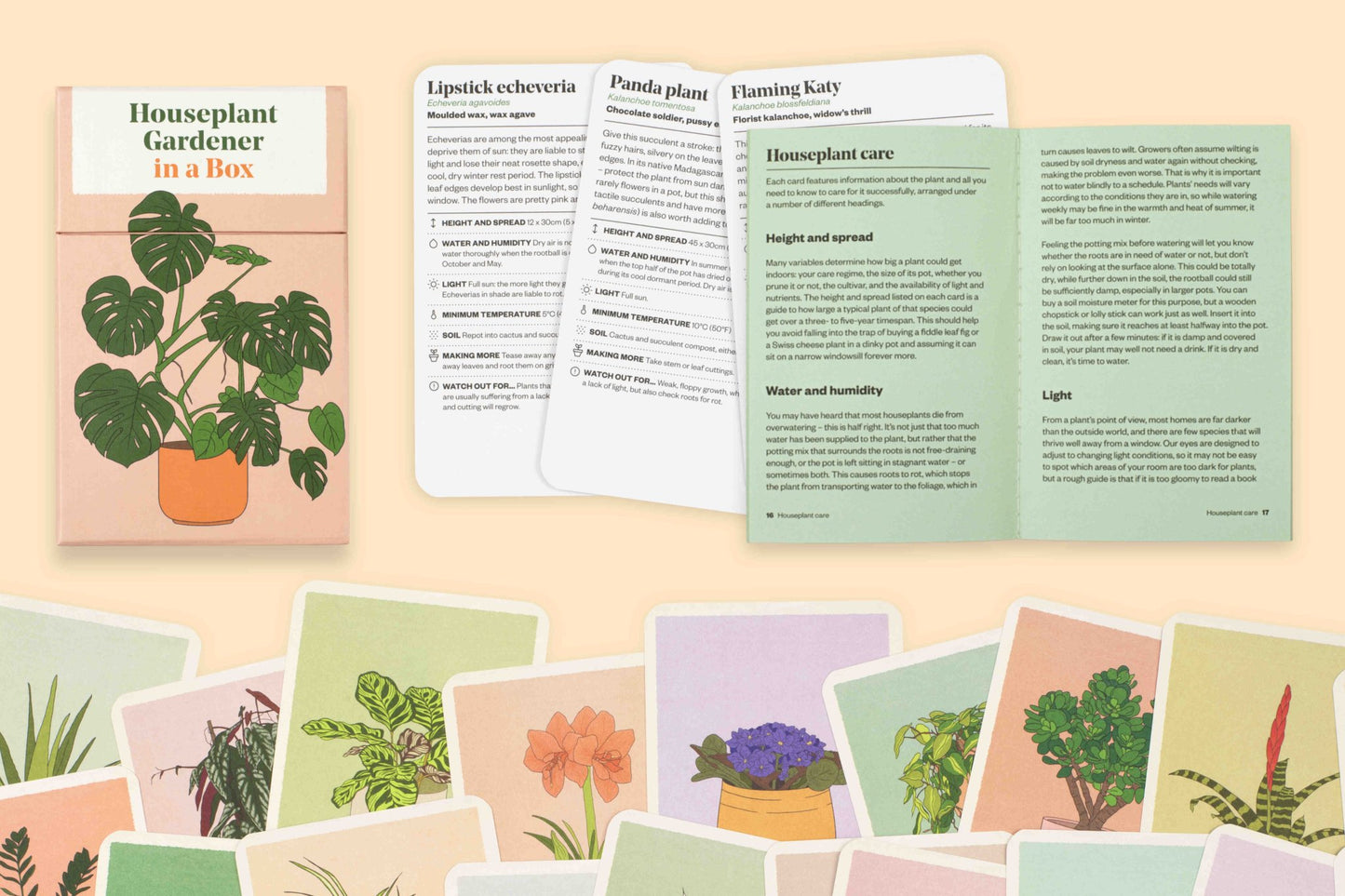 Houseplant Gardener in a Box | The Plant Boys