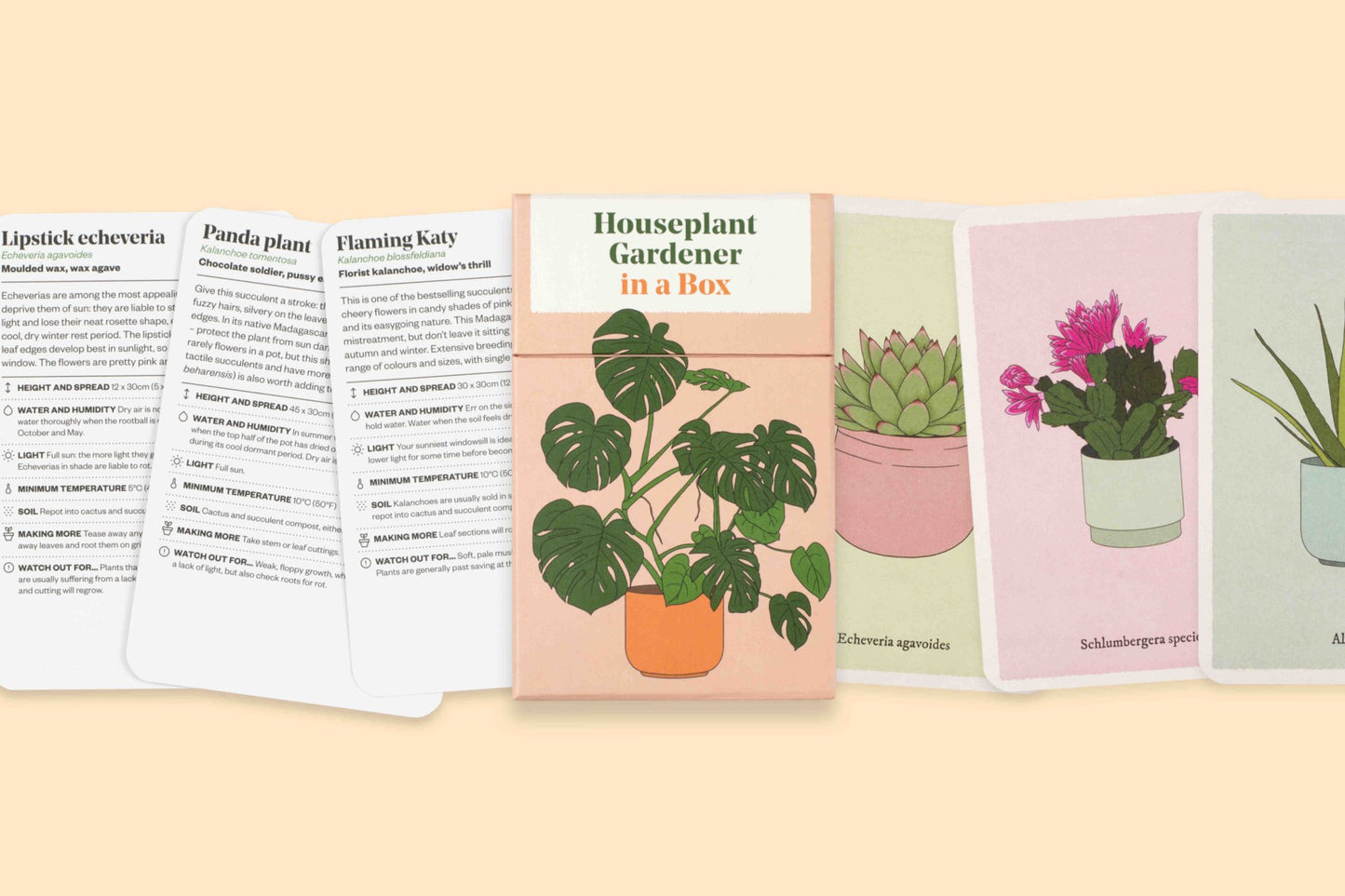 Houseplant Gardener in a Box | The Plant Boys