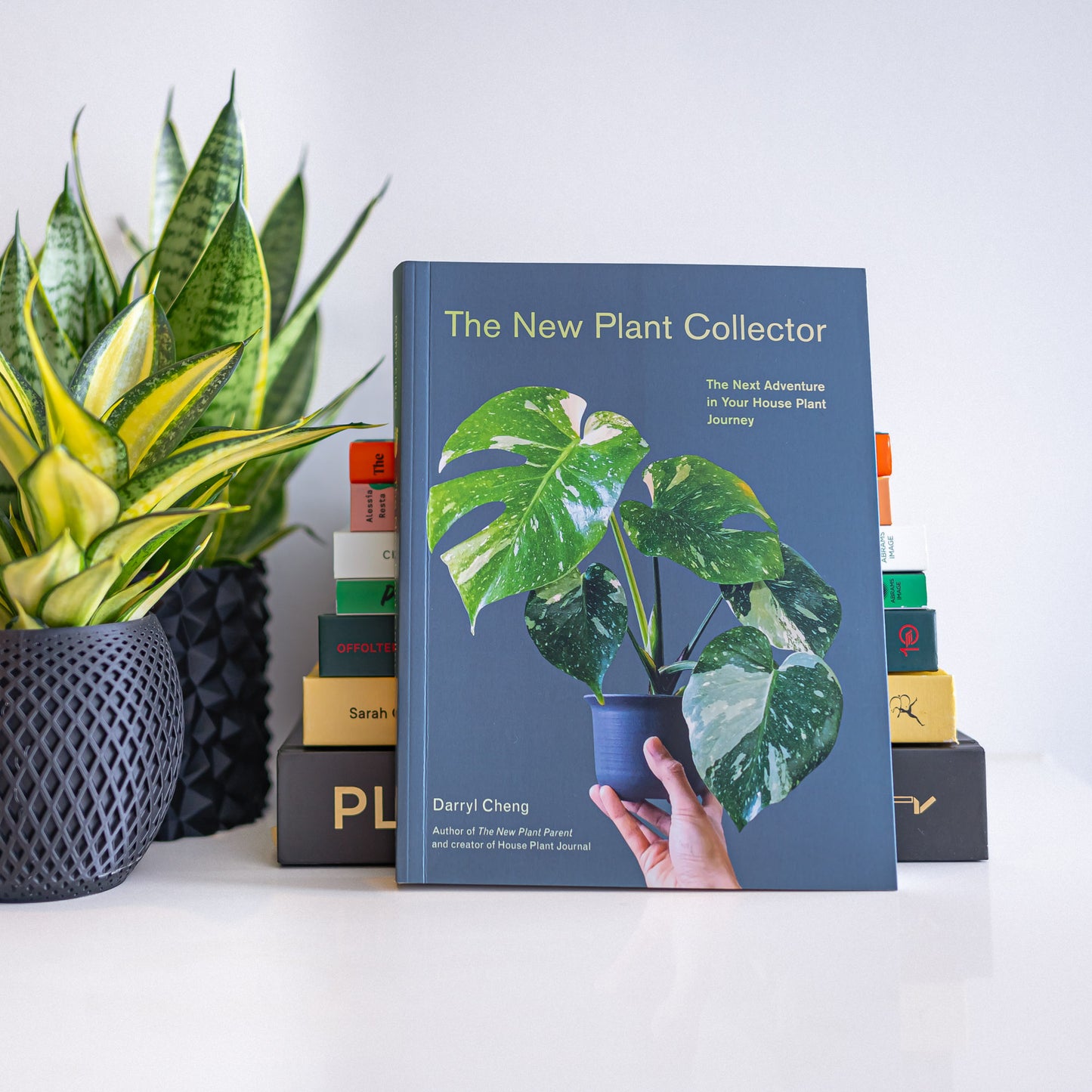 The New Plant Collector | The Plant Boys