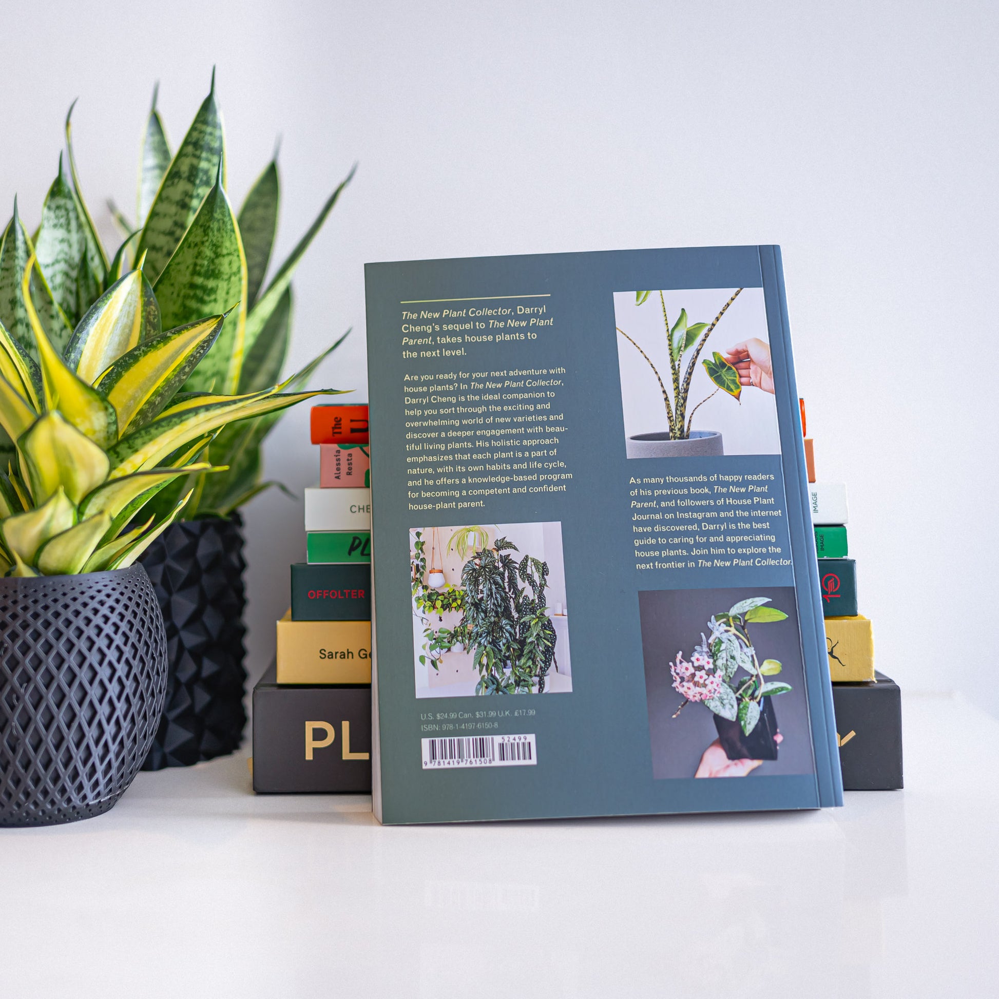 The New Plant Collector | The Plant Boys